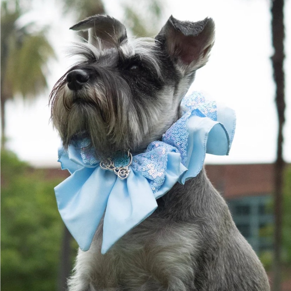 DISNEY PRINCESS Premium Dress Up Dog Collar Size Large- CINDERELLA
